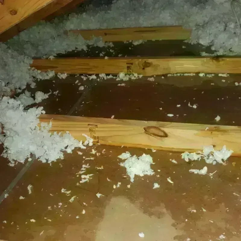 Attic Water Damage in LaPorte County, IN