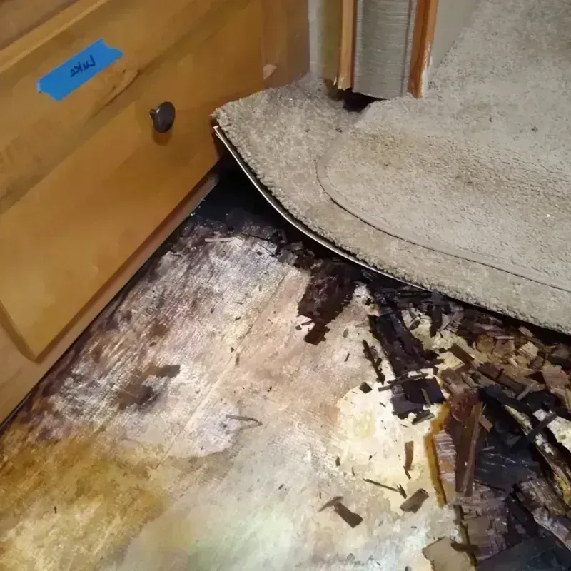 Wood Floor Water Damage in LaPorte County, IN